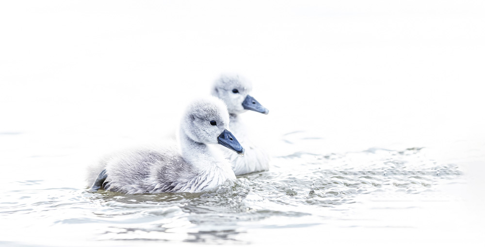 Platz 3 Conny Kleiner